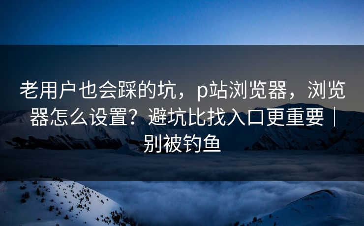 老用户也会踩的坑，p站浏览器，浏览器怎么设置？避坑比找入口更重要｜别被钓鱼