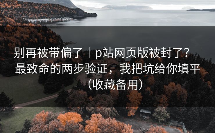 别再被带偏了｜p站网页版被封了？｜最致命的两步验证，我把坑给你填平（收藏备用）