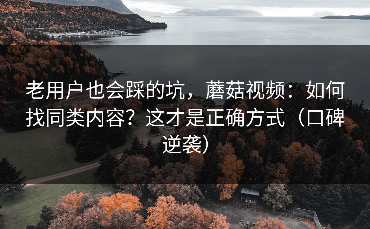 老用户也会踩的坑，蘑菇视频：如何找同类内容？这才是正确方式（口碑逆袭）