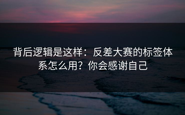 背后逻辑是这样：反差大赛的标签体系怎么用？你会感谢自己