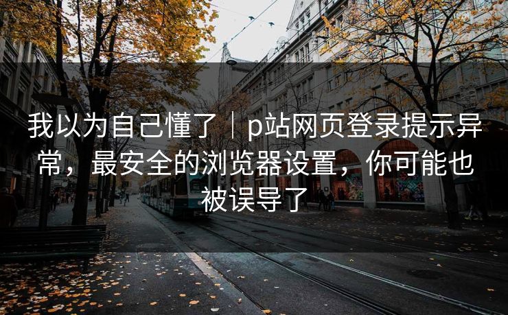 我以为自己懂了｜p站网页登录提示异常，最安全的浏览器设置，你可能也被误导了