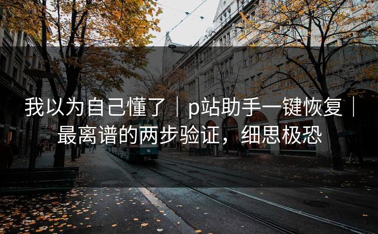我以为自己懂了｜p站助手一键恢复｜最离谱的两步验证，细思极恐