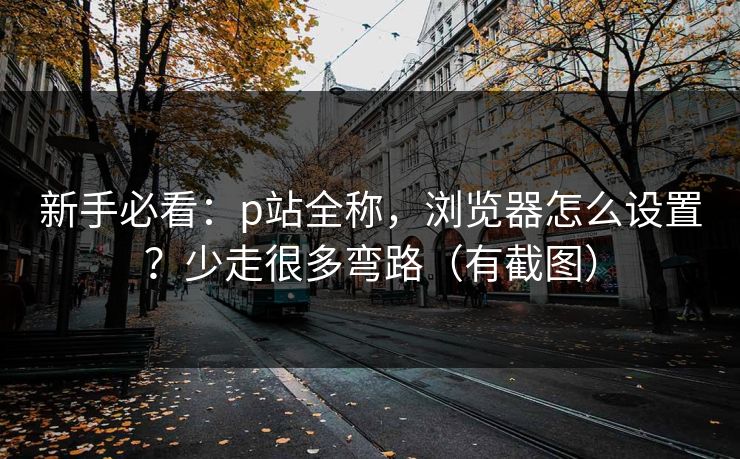 新手必看：p站全称，浏览器怎么设置？少走很多弯路（有截图）