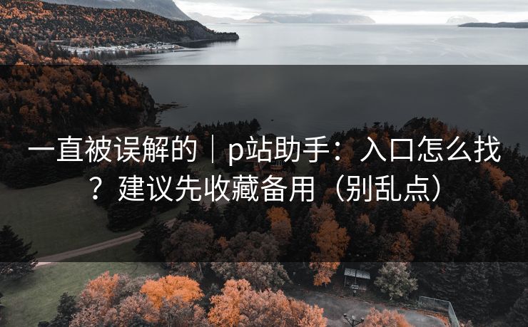 一直被误解的｜p站助手：入口怎么找？建议先收藏备用（别乱点）
