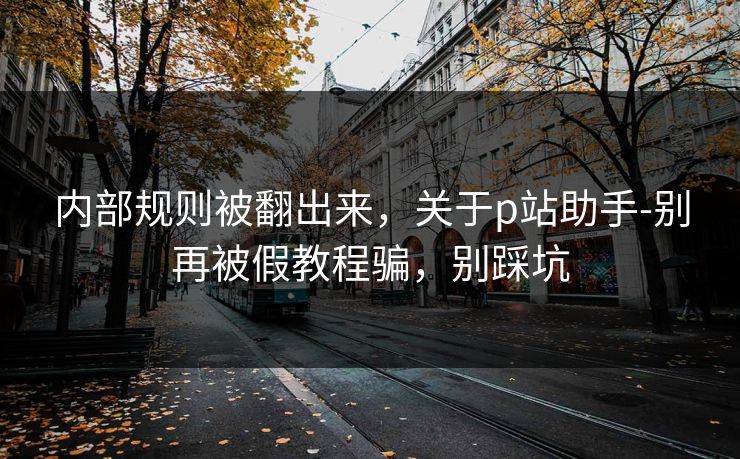 内部规则被翻出来，关于p站助手-别再被假教程骗，别踩坑