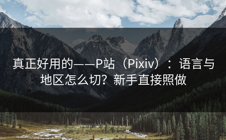 真正好用的——P站（Pixiv）：语言与地区怎么切？新手直接照做