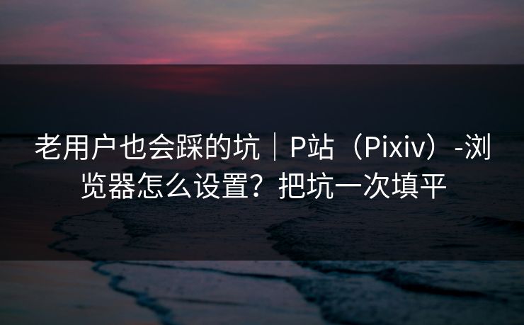 老用户也会踩的坑|P站(Pixiv)-浏览器怎么设置?把坑一次填平 老用户也会踩的坑|P站(Pixiv)-浏览器怎么设置?把坑一次填平