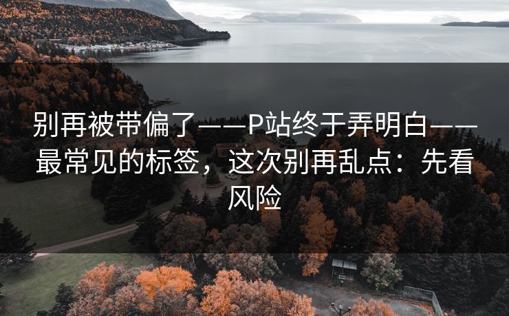 别再被带偏了——P站终于弄明白——最常见的标签,这次别再乱点:先看风险 别再被带偏了——P站终于弄明白——最常见的标签,这次别再乱点:先看风险