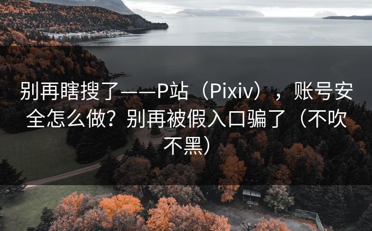别再瞎搜了——P站（Pixiv），账号安全怎么做？别再被假入口骗了（不吹不黑）
