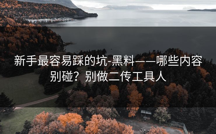 新手最容易踩的坑-黑料——哪些内容别碰?别做二传工具人 新手最容易踩的坑-黑料——哪些内容别碰?别做二传工具人